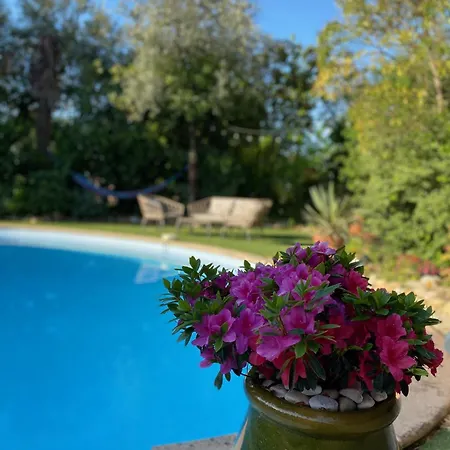 Verano Alojamento de Acomodação e Pequeno-almoço *